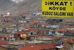 Ulupınar Köyü Kuduz Hastalığı Nedeniyle Karantinaya Alındı‏