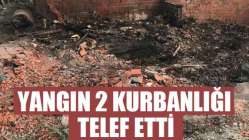 Yangın 2 Kurbanlığı Telef Etti