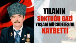 Yılanın soktuğu gazi yaşam mücadelesini kaybetti