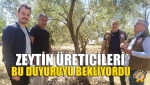 Zeytin Üreticileri Bu Duyuruyu Bekliyordu