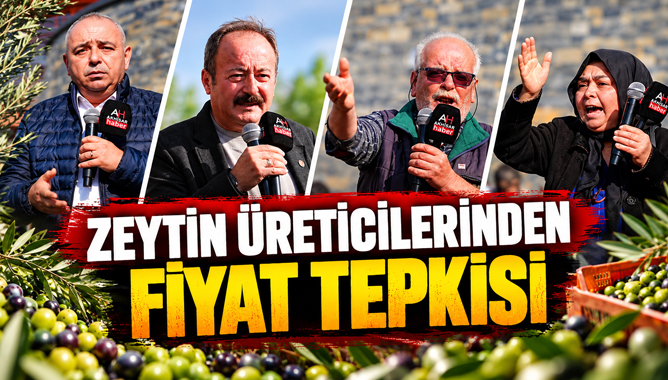 Zeytin Üreticilerinden Fiyat Tepkisi