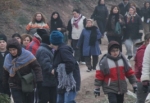 Zinde Yaşam Kulübü 45. Etapta Palamut Tohumu Dikti