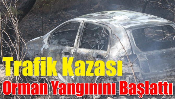 Trafik Kazası Orman Yangınını Başlattı