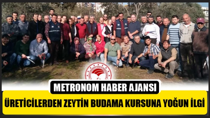 Üreticilerden Zeytin Budama Kursuna Yoğun İlgi