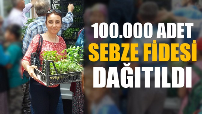 Üreticilere 100.000 Adet Sebze Fidesi Dağıtımı Yapıldı