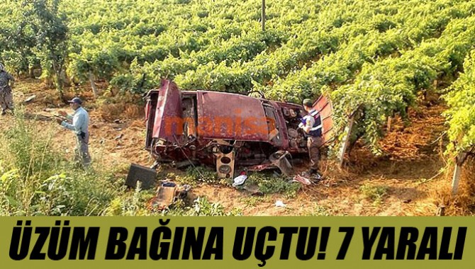 Üzüm Bağına Uçtu! 7 Yaralı