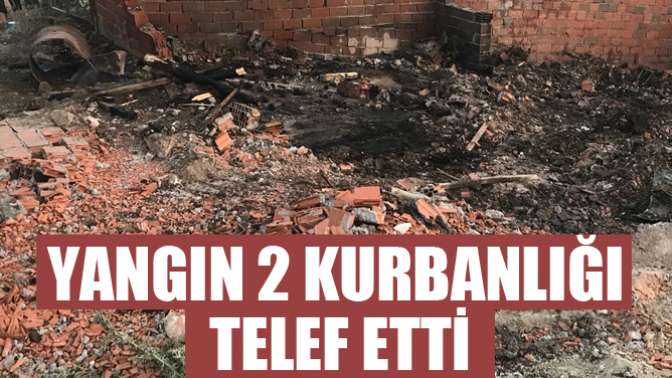 Yangın 2 Kurbanlığı Telef Etti