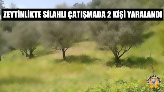 Zeytinlikteki Silahlı Çatışmada 2 Kişi Yaralandı