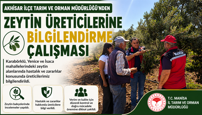 Akhisar’da Zeytin Üreticilerine Hastalık ve Zararlı Uyarısı
