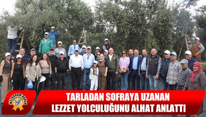 Akhisar Zeytinin Serüveni